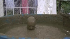 vander_dunked_in_clay_playing_12.jpg